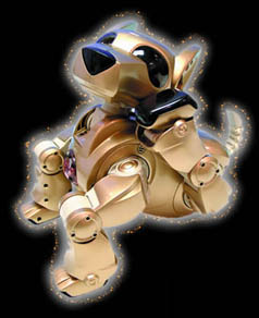 �y�x늄�(d��ng)��ߐ�ِ��