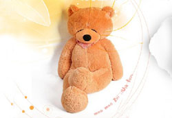 毛毛仔毛絨玩具品質(zhì)卓越