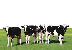 ���_(d��)ɽ��I(y��)��(ji��n)���|(zh��)���ߵ�47��