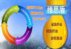 �����ѣ�ѭ��u�M�����郺�oʳ