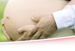 特福芬有機媽媽奶粉天然呵護更健康