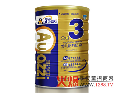 �Ę��̽��b�׃��䷽�̷�INS�����I(y��ng)�B(y��ng)ϵ�y(t��ng)��B