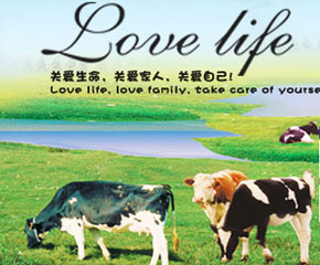 �۵Ø��I(y��ng)�B(y��ng)�׷ێ��������������L(zh��ng)