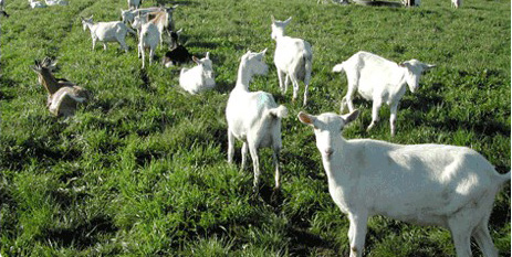 ����������Դ����������������������