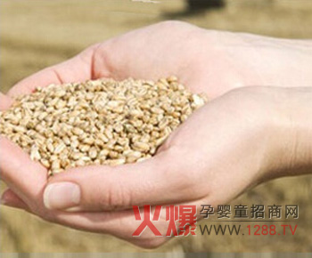 �����r���ͯ�oʳ��(d��ng)���ի@ԭ��