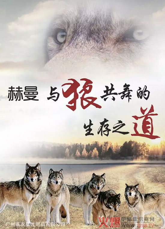 �����c�ǹ��������֮��