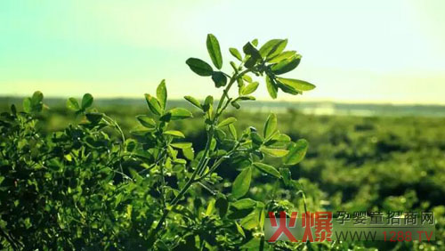 �xɽţ�̟���ӛ�������������� �����֎ײ���