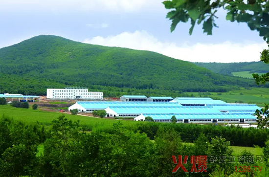 �l(f��)չ��(sh��)�w��(j��ng)��(j��)�����_(d��)ɽ���Є�(d��ng)��