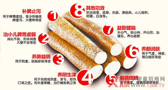 ���f�o������һ�ӵ�ɽˎ��ʳ��