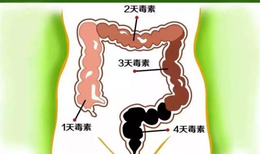 �l(f��)Ʊ - ����.jpg