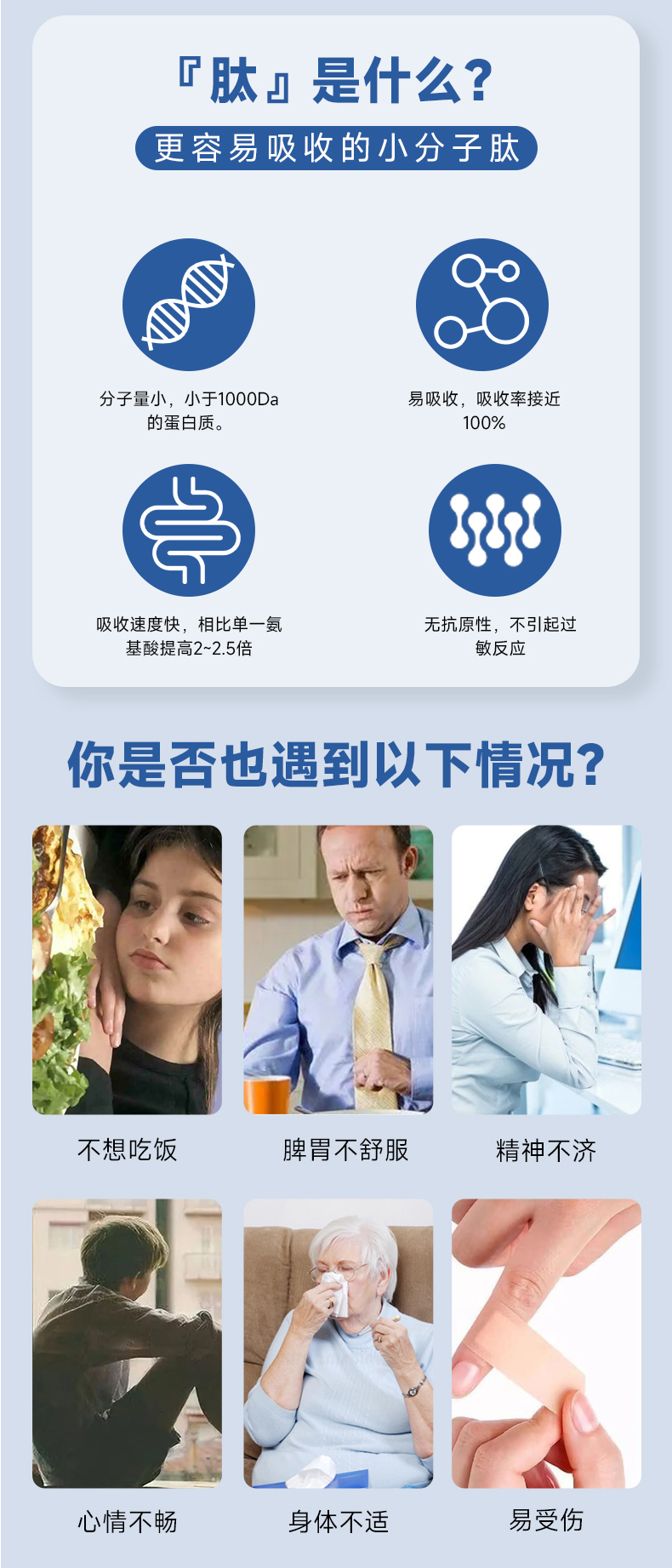 牛脾肽詳情頁_02.jpg 牛脾肽詳情頁_02.jpg