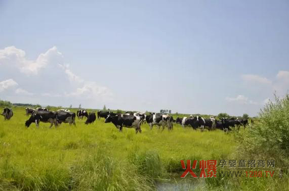 ���_(d��)ɽ�̷۞�Ε�(hu��)�ܵ��@ô���˵�ϲ����