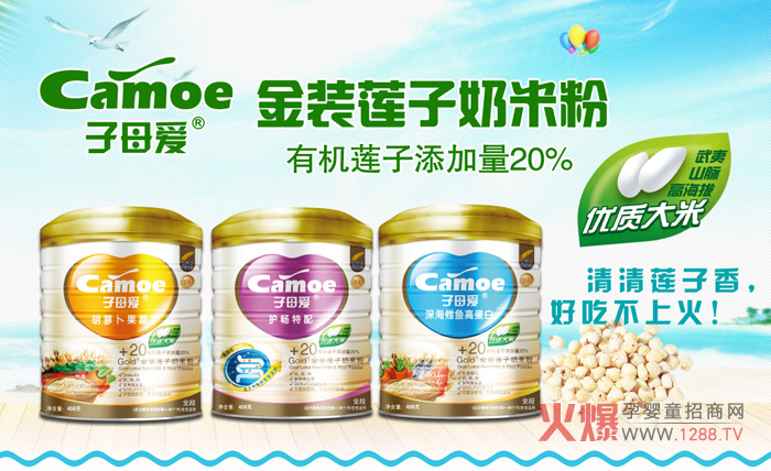 ��ĸ�ۋ����oʳ���ڻ�������