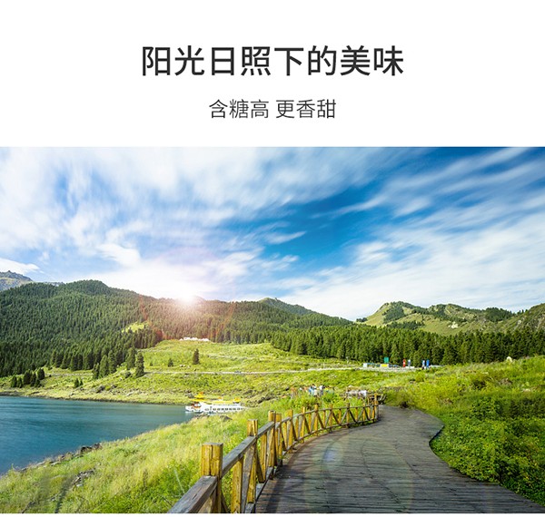 巴瑪熊巴旦木 (3).jpg