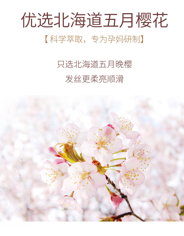 植物主義櫻花洗發(fā)水+沐浴露2件套 (7).jpg