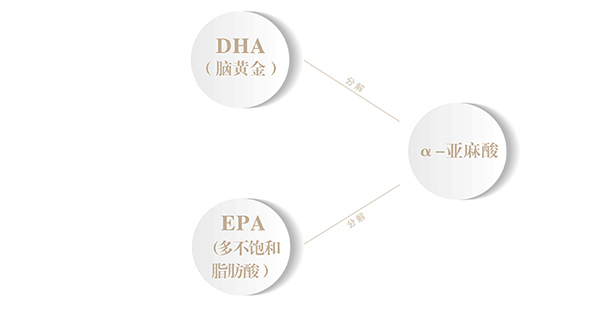 南園國色牡丹籽油480ml (7).jpg