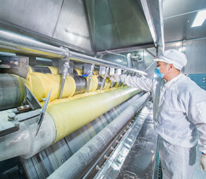  ��������S29