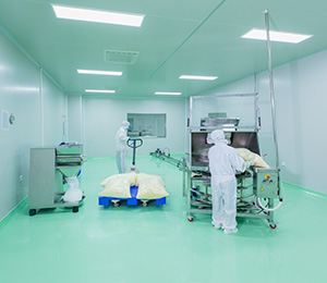  ��������S1