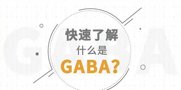 ��Ϣ���\��ǰ�z�루���L��GABA�������L���؁��ͷ��ڵķ���