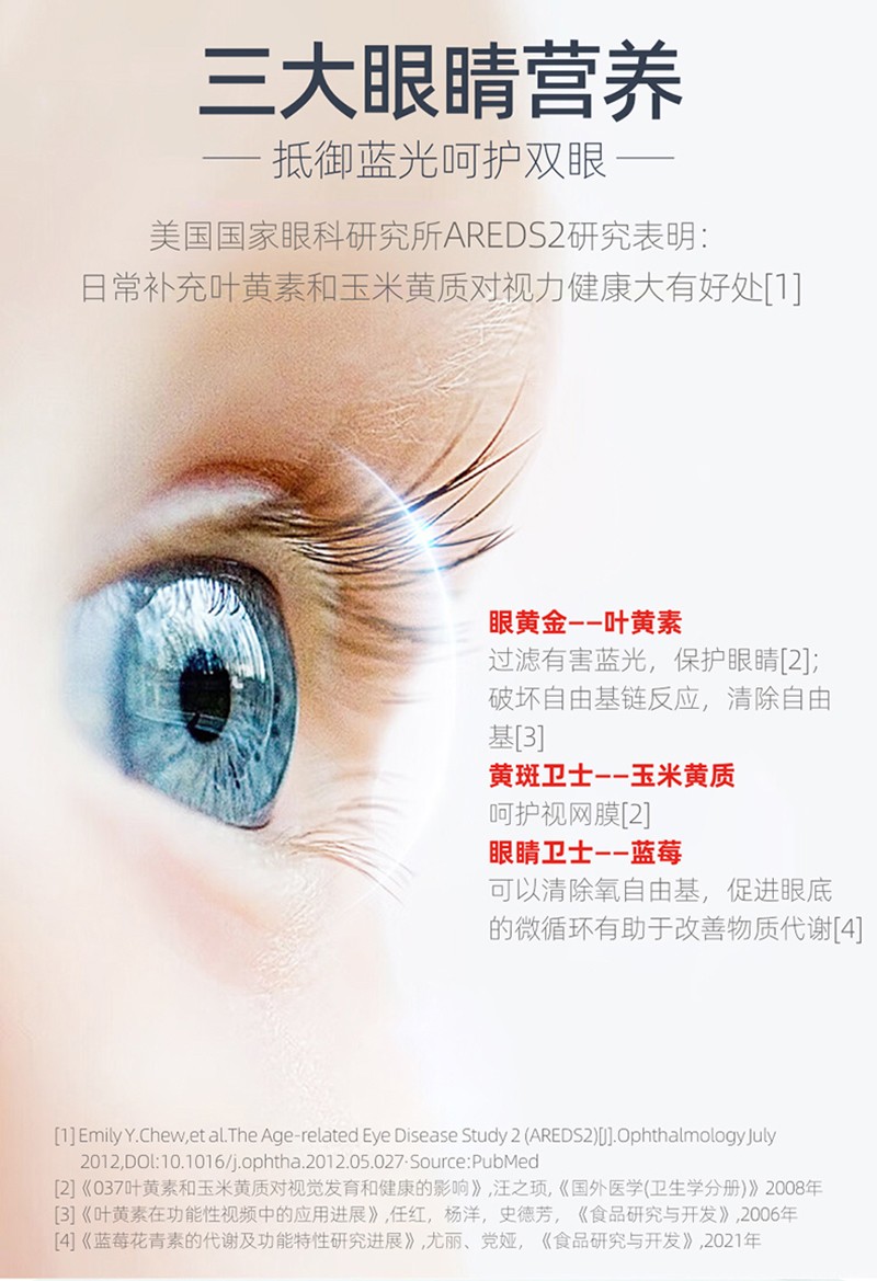  �������~�S�����{����ƬԔ��D_09