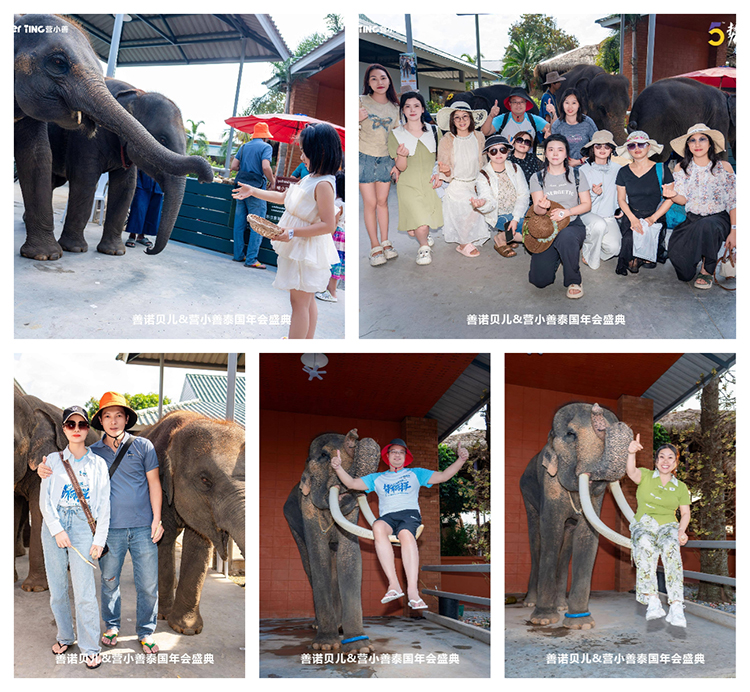 與大象互動(dòng).jpg 與大象互動(dòng).jpg