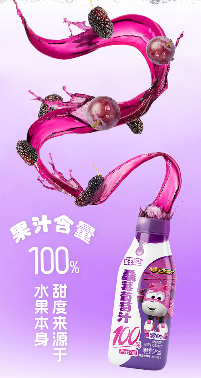 248ml--桑葚葡萄汁_04.jpg