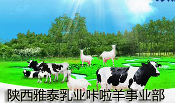 �����̩��I(y��)�������I(y��)��