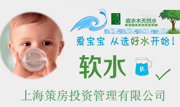 �Ϻ��߷�Ͷ�Y�������޹�˾