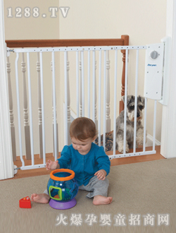 ��ϲ�����ݰ�ȫ�o��