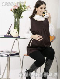 ���Z�R�y�w�S����������