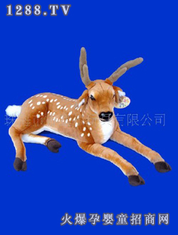 ������÷��¹