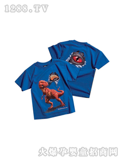 �ϼ{���{(l��n)ɫT��