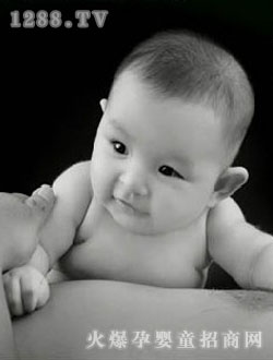 ���쌚���ڰ���