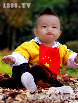 Λρ����ɐ���Ƭ