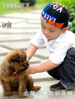 ��ɽ��(��i)�����⾰��