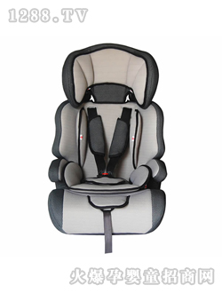 ��ͯ��ȫ����DSC_0375