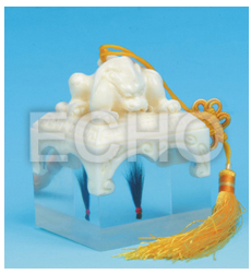 �ۿ�̥ë���������T��