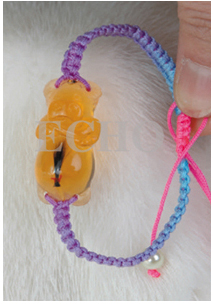 ��(��i)�Ɍ�ؔ(c��i)��ţ���