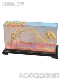 ؐ���ӹ����˱��̾�