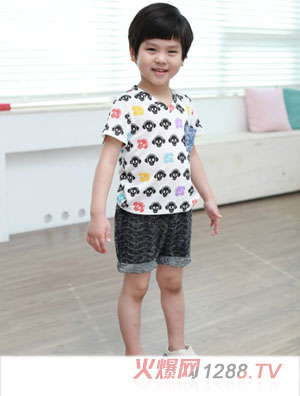 �������Ȱ�ɫӡ��T��