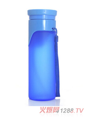 �R����������z��đ�ۯBˮ�� �{ɫ ��ͨ�w 500ml