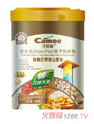 子母愛(ài)yingy核桃紅棗淮山薏米奶米粉