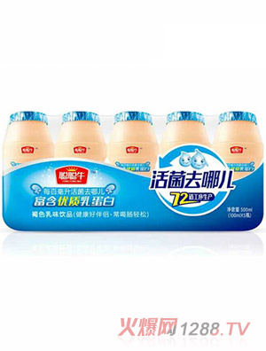 聰聰牛活菌去哪兒乳味飲品500ml