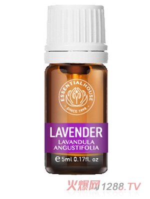 ��Ϫ���@ �挍޹�²ݾ���