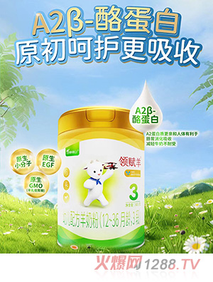 領賦羊youe配方羊奶粉(12-36月齡，3段)