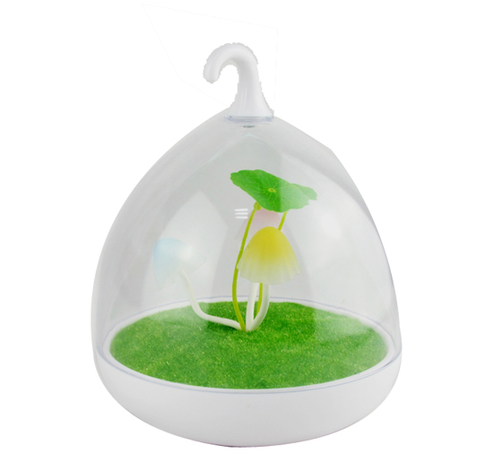  �����ų��Ģ���B(ni��o)�\��