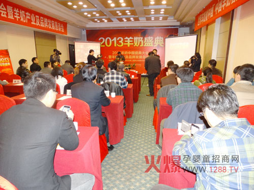 2013����ʢ����